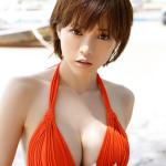 釈由美子的所有相册