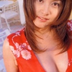 藤原紀香的所有相册