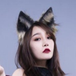 团子的所有相册