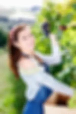 [Image.tv]Breezin’