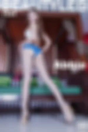 [Beautyleg]美腿寫真 2017.11.29 No.1534