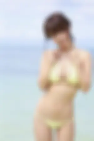 Visual WEB S, Vol.739