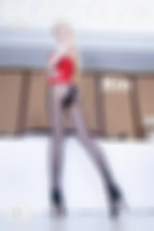 [Beautyleg]美腿寫真 2020.11.27 No.2004