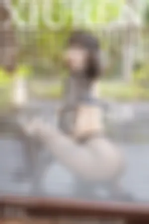 [XiuRen]秀人网 2021.06.18 No.3558 黑丝_豹纹