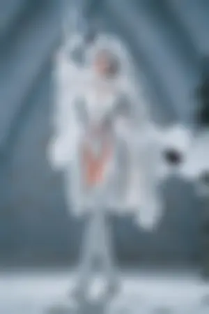 [WeiboGirl]微博红人 2b典藏