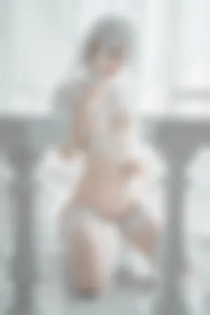 [WeiboGirl]微博红人 2B白婚纱