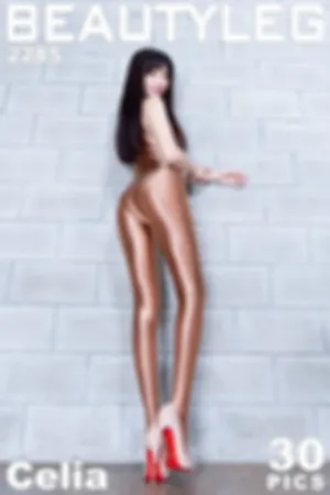 [Beautyleg]美腿寫真 2023.05.30 No.2285