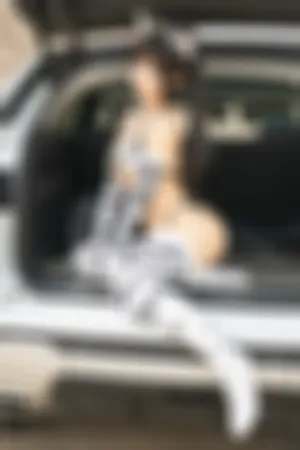 [WeiboGirl]微博红人 车内白虎