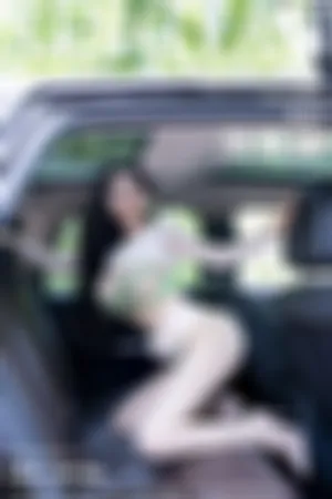 [XingYan]星颜社 2024.05.24 VOL.234 汽车场景 绿色透视 情趣内衣