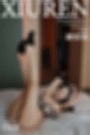 [XiuRen]秀人网 2024.11.25 No.9500