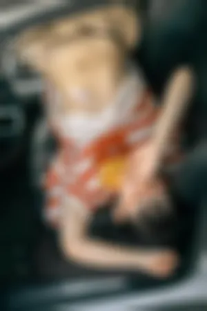 [FuLi]米友福利 豪车内 短T 白色 短袜 周末郊游