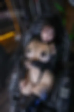 [Cosplay]角色扮演 异铁 搜查官