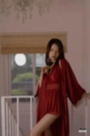 [LEEHEE_EXPRESS]李熙速递 LEHC-226A